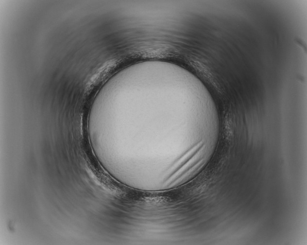 X0000100500686200806271259