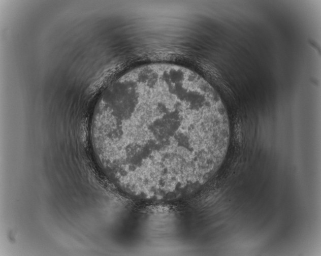 X0000100500687200806271259