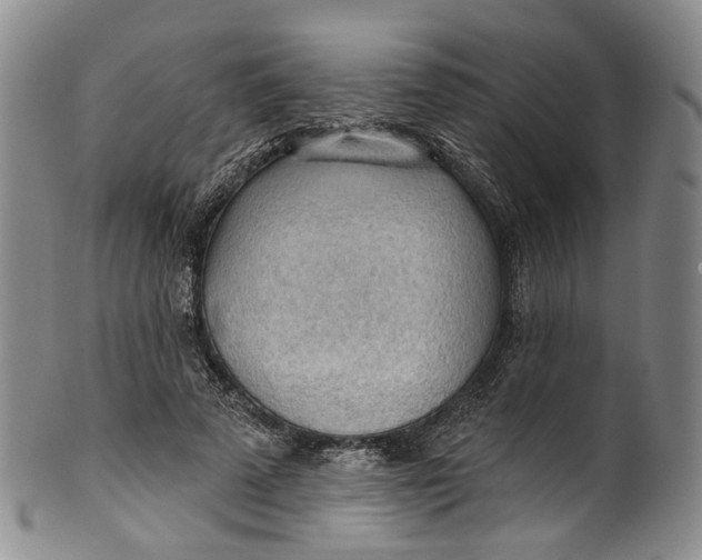 X0000100500689200806271259