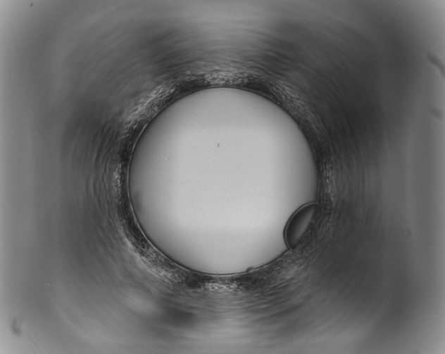 X0000100500690200806271259