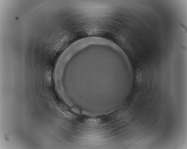 X0000100500691200806271259