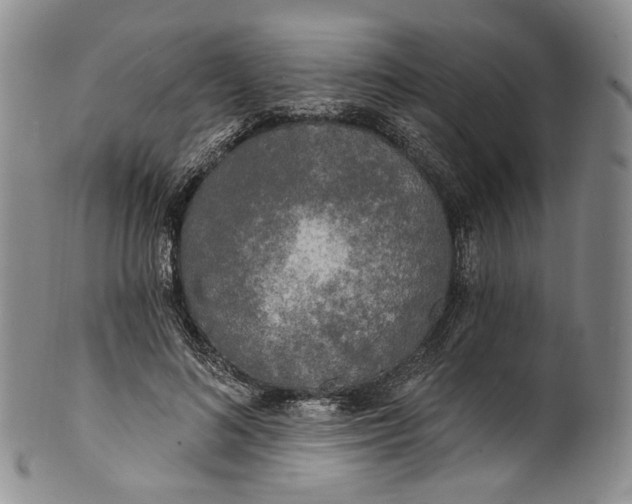 X0000100500692200806271259