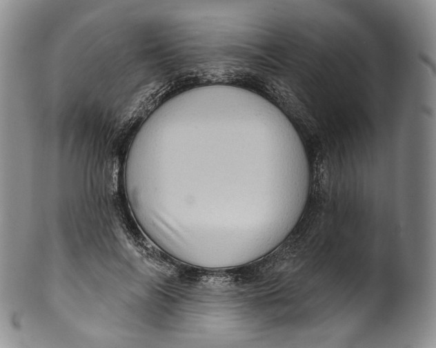 X0000100500694200806271259