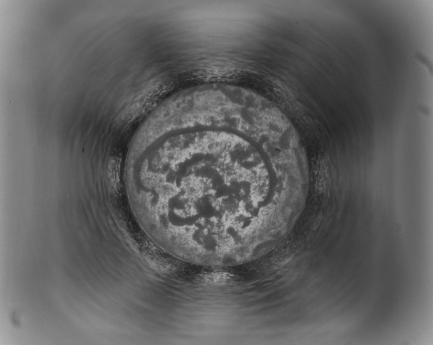 X0000100500695200806271259