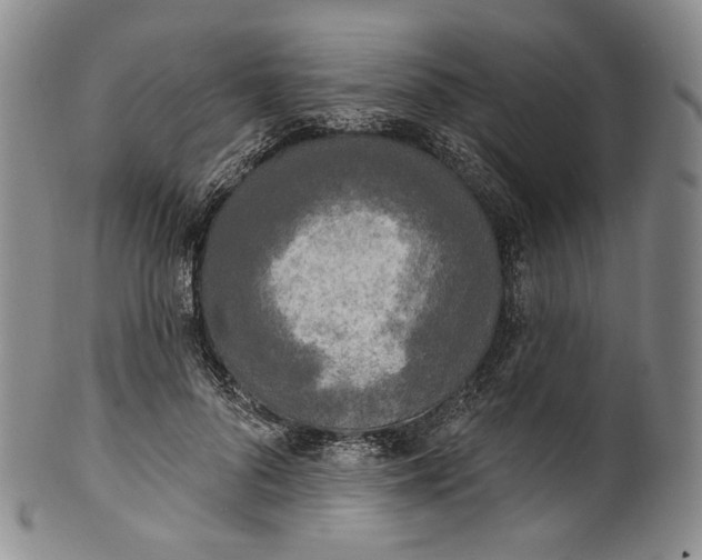 X0000100500696200806271259