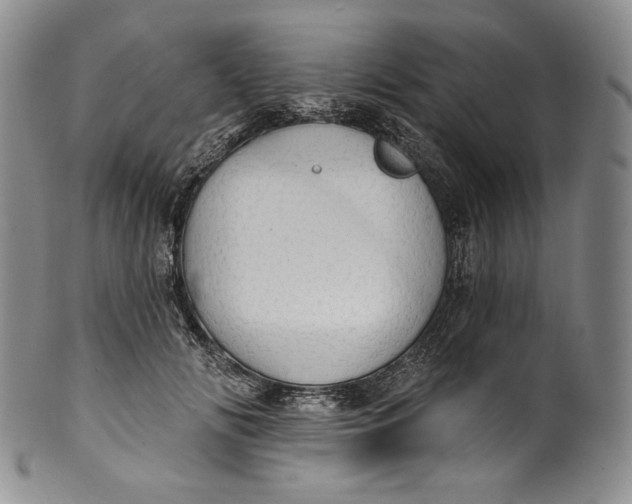 X0000100500702200806271259