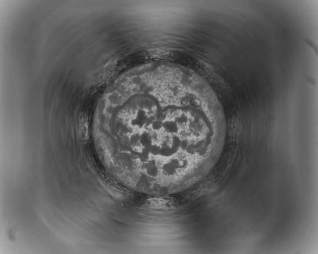 X0000100500703200806271259