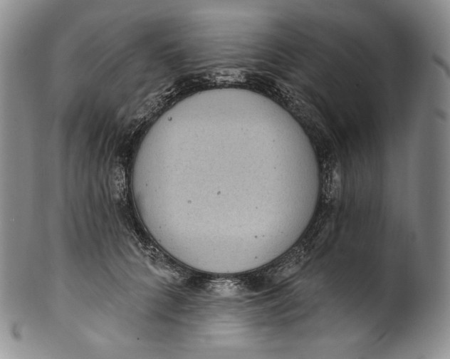 X0000100500704200806271259