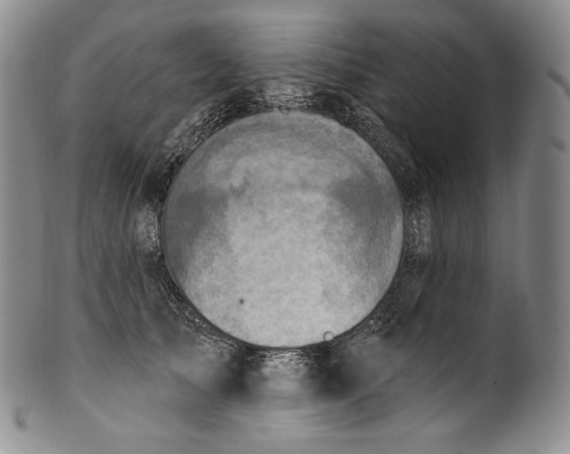 X0000100500705200806271259