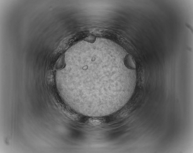 X0000100500706200806271259