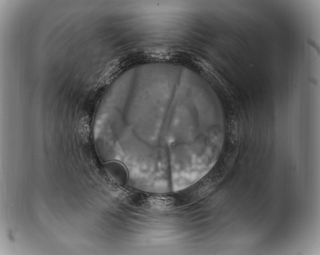 X0000100500707200806271259