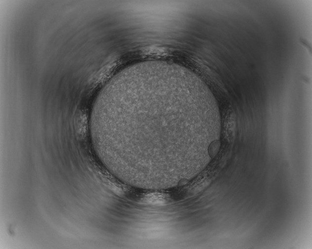 X0000100500708200806271259