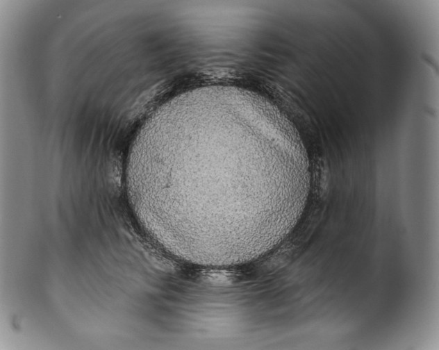 X0000100500710200806271259