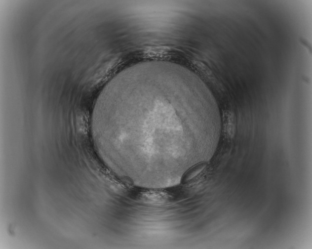 X0000100500712200806271259