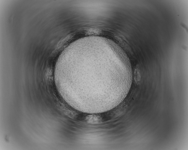 X0000100500714200806271259