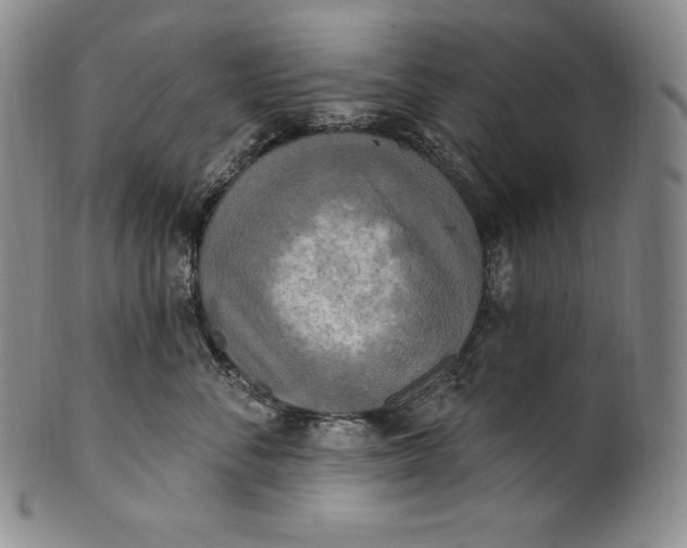 X0000100500716200806271259