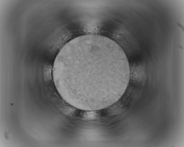 X0000100500717200806271259