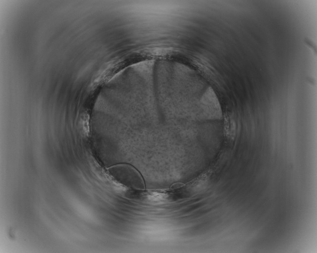 X0000100500718200806271259