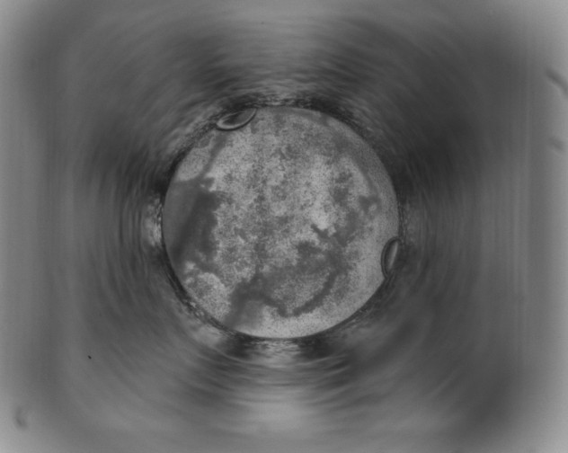 X0000100500719200806271259