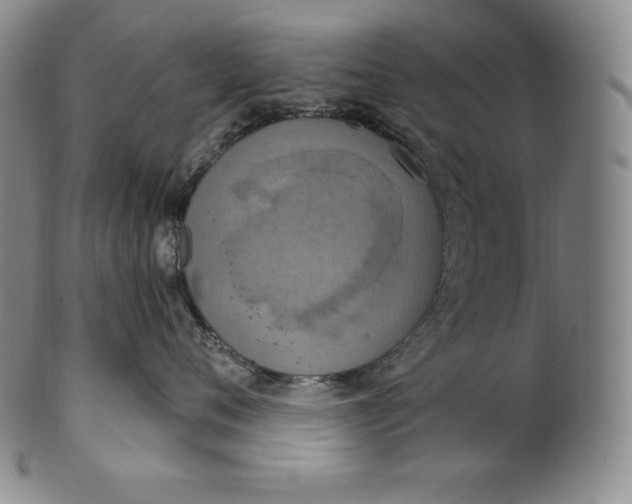 X0000100500720200806271259