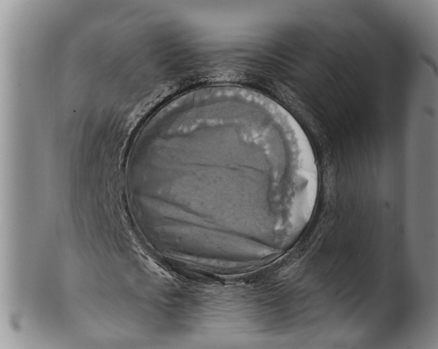 X0000100500721200806271258