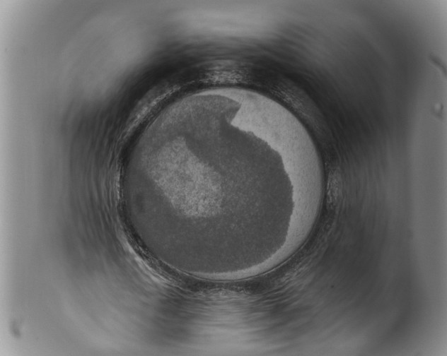 X0000100500722200806271258