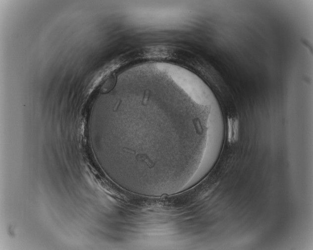 X0000100500723200806271258