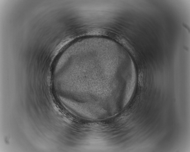 X0000100500724200806271258