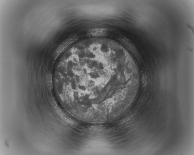 X0000100500725200806271258