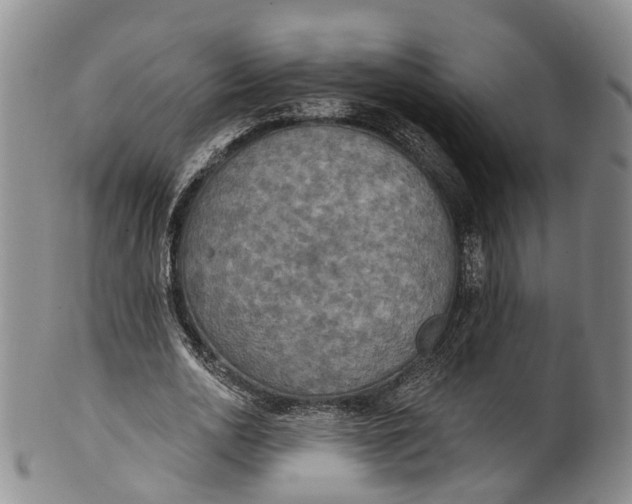 X0000100500726200806271258