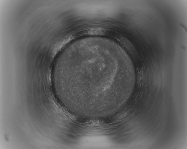 X0000100500727200806271258