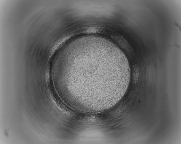 X0000100500728200806271258