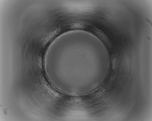 X0000100500729200806271258