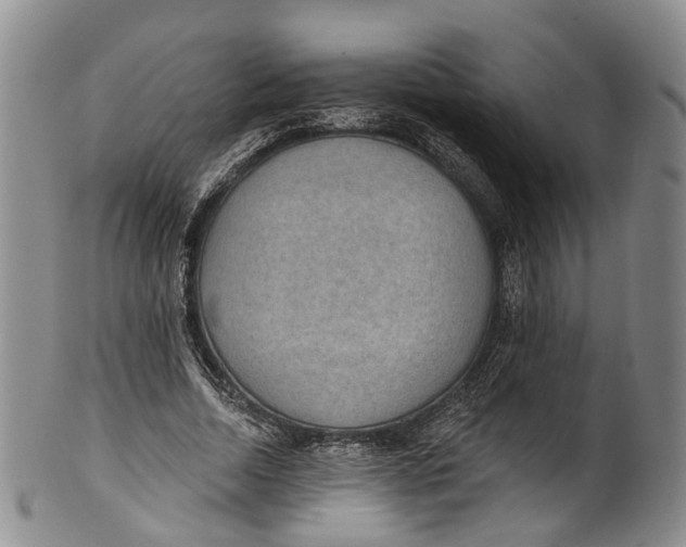 X0000100500730200806271258