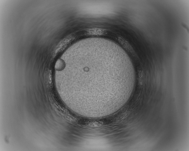 X0000100500731200806271258