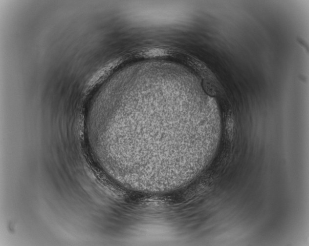 X0000100500732200806271258