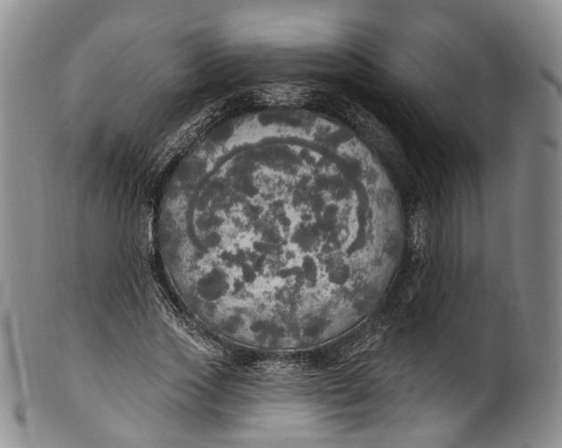 X0000100500733200806271258