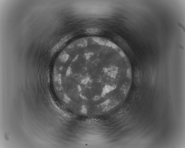 X0000100500734200806271258