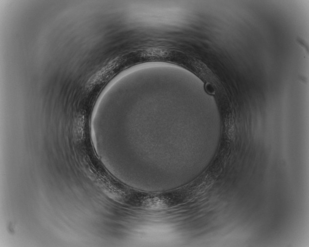 X0000100500735200806271258