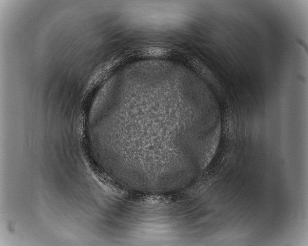 X0000100500736200806271258