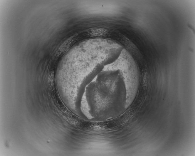 X0000100500737200806271258