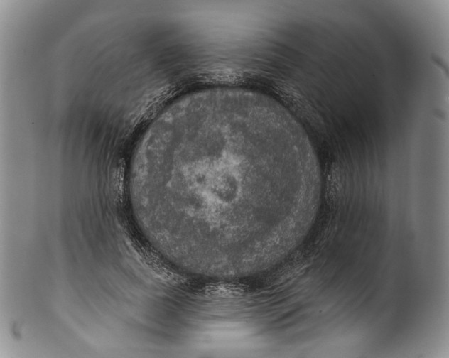 X0000100500739200806271258