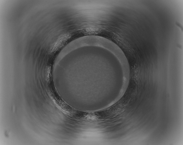 X0000100500742200806271258