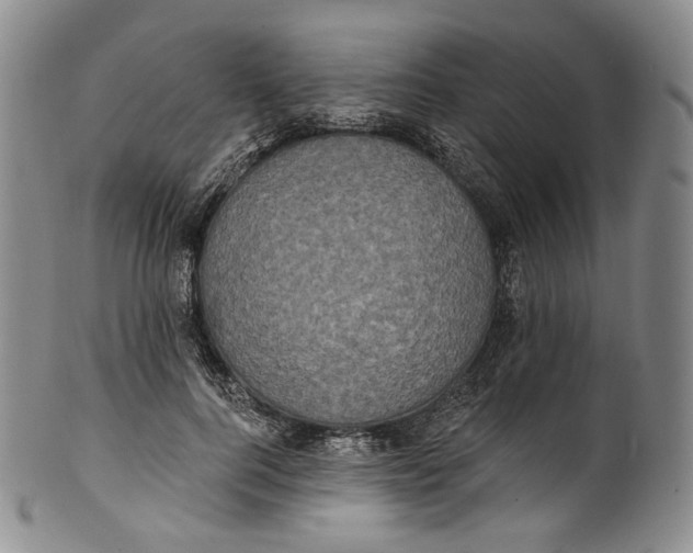 X0000100500744200806271258