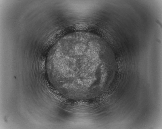 X0000100500745200806271258