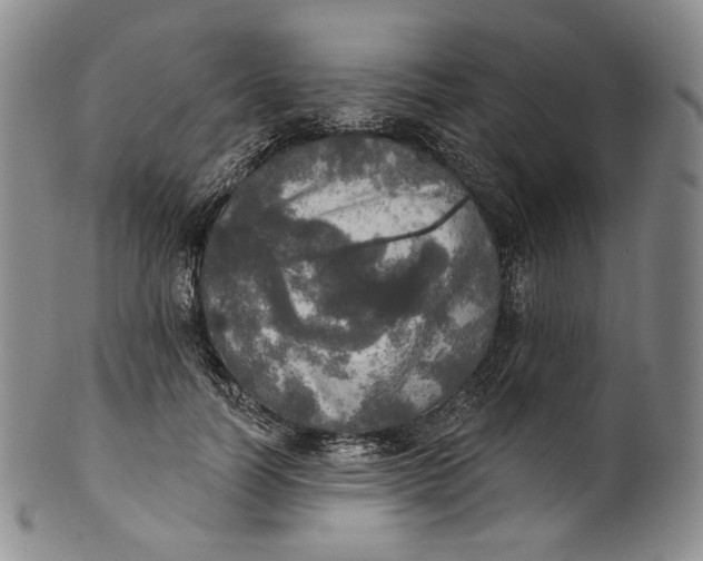 X0000100500746200806271258