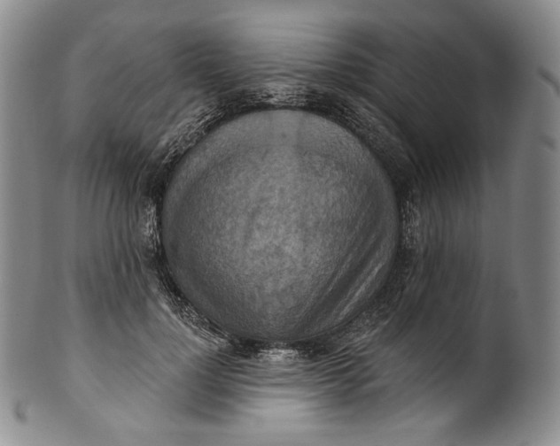 X0000100500748200806271258