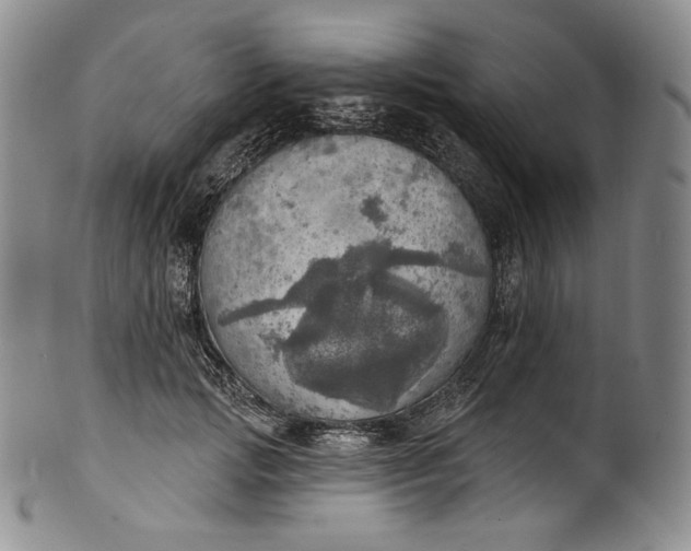 X0000100500749200806271259