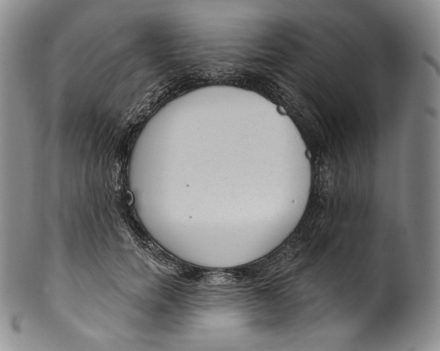 X0000100500750200806271259