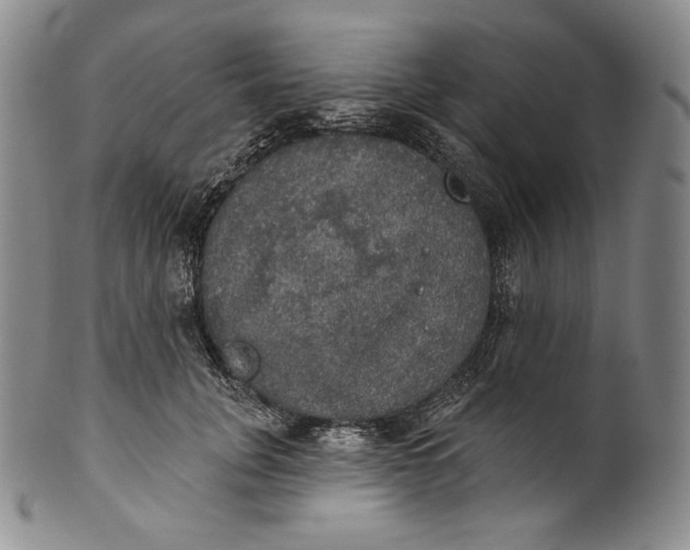 X0000100500751200806271259